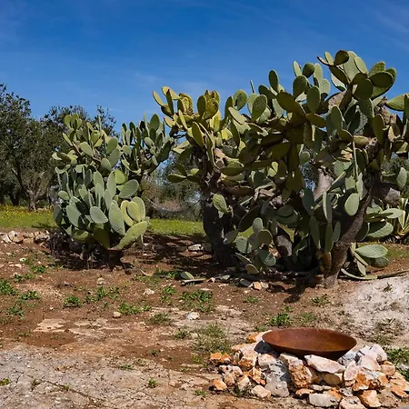 Trullo Thessa, Immersed In Countryside...