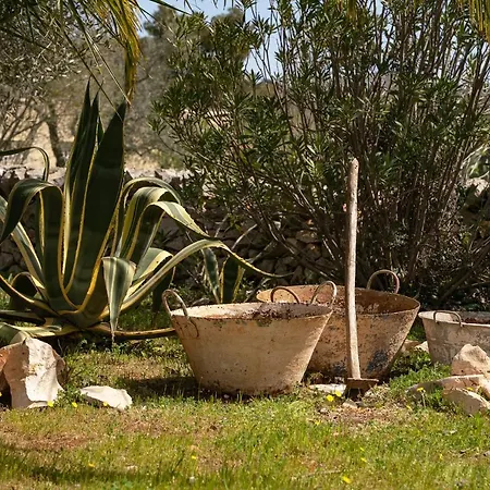 Trullo Thessa, Immersed In Countryside... * 오스투니