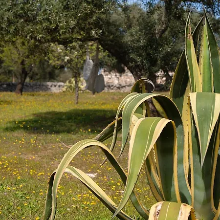 Semesterbostad Trullo Thessa, Immersed In Countryside...