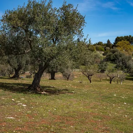 Trullo Thessa, Immersed In Countryside... Semesterbostad Ostuni